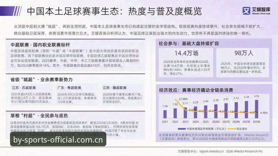 资深用户分享：世界杯观赛签证危机背后的冷思考与by体育平台观赛体验